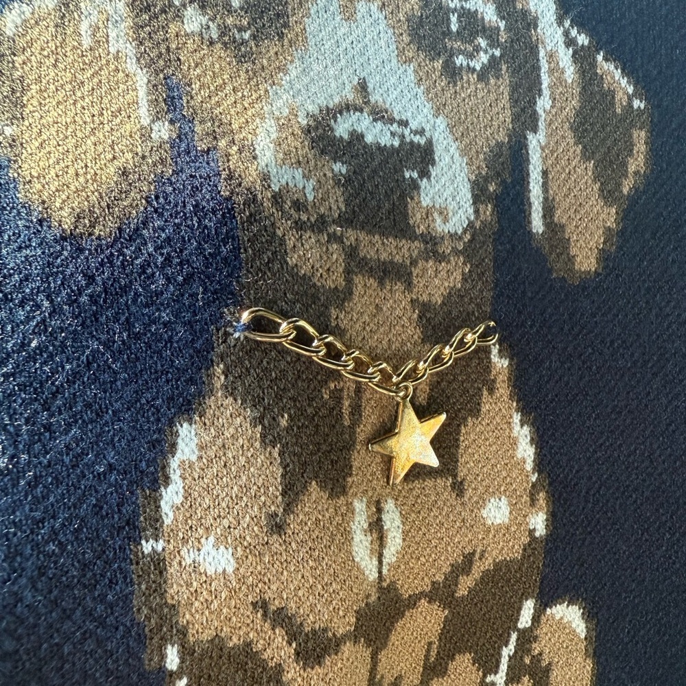 NEW Nikka K NAVY Dachshund Dog
Sweater Puppy Gold Collar STAR HIGH QUALITY SZ L - Picture 8 of 12